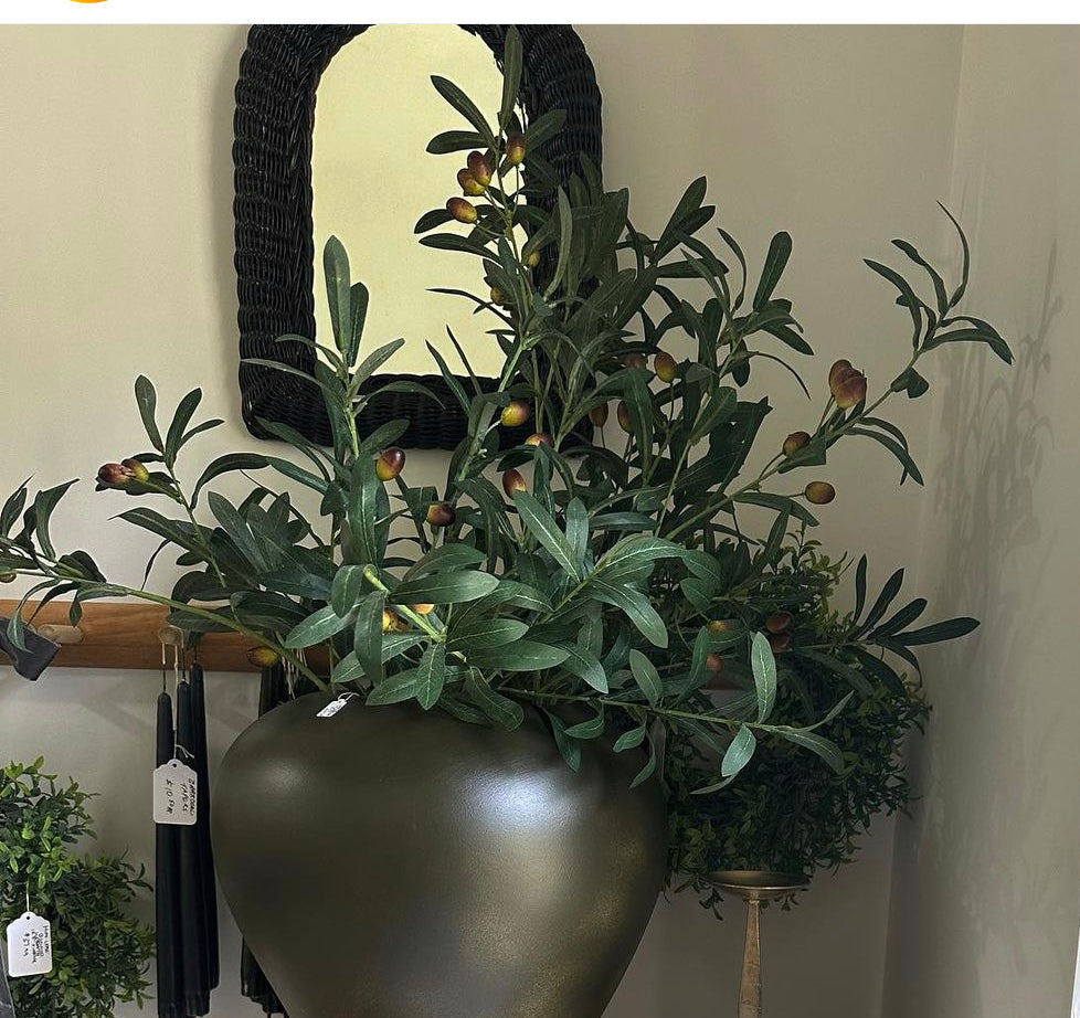 Olive Stem