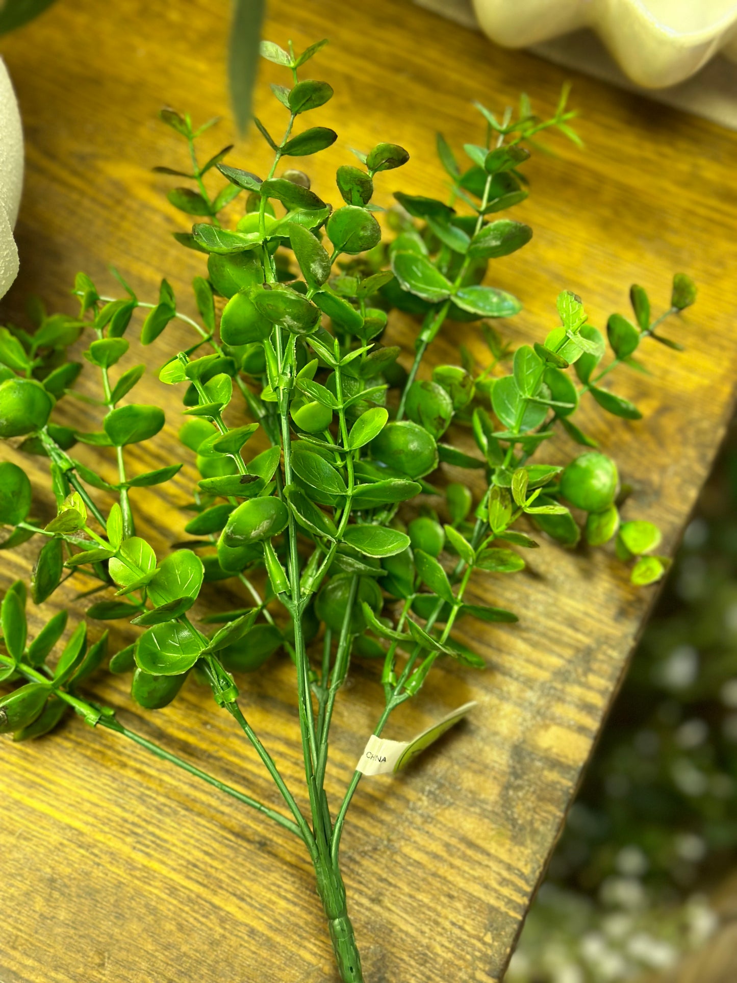 Eucalyptus Bush Stem 13”