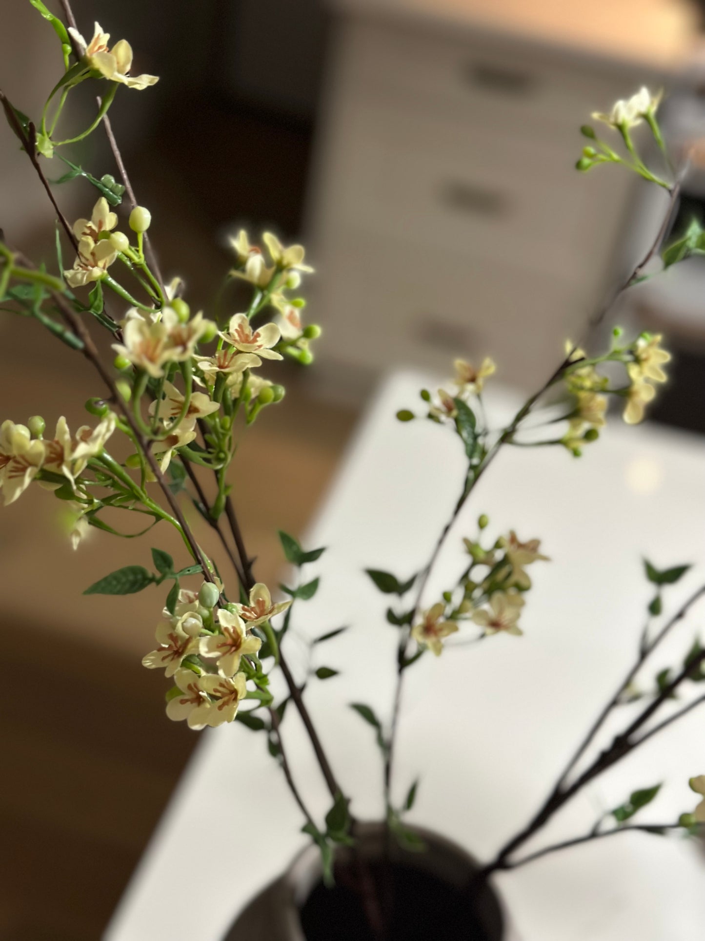 30” Wax flower stem