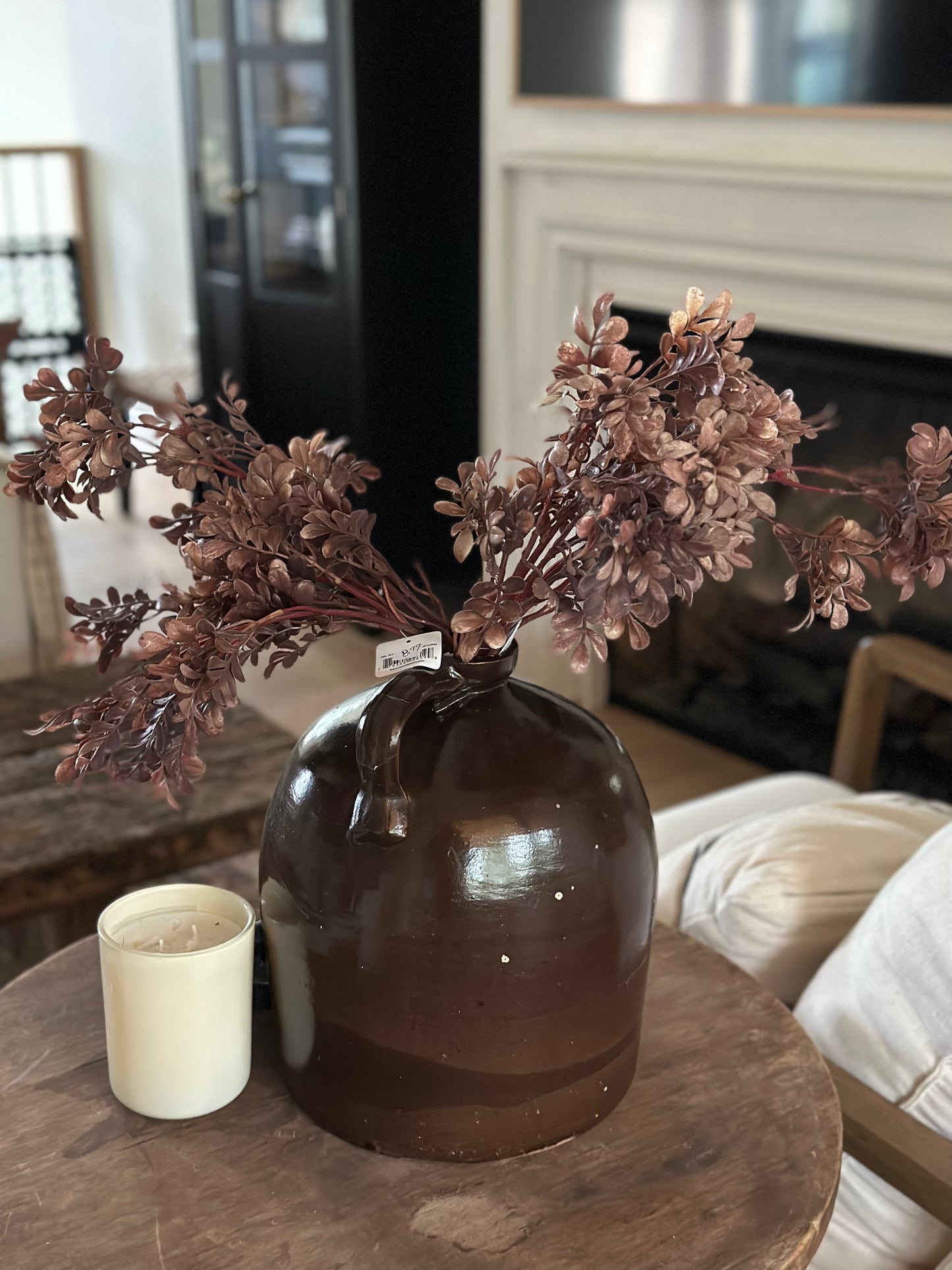 “Coffee” Boxwood stems
