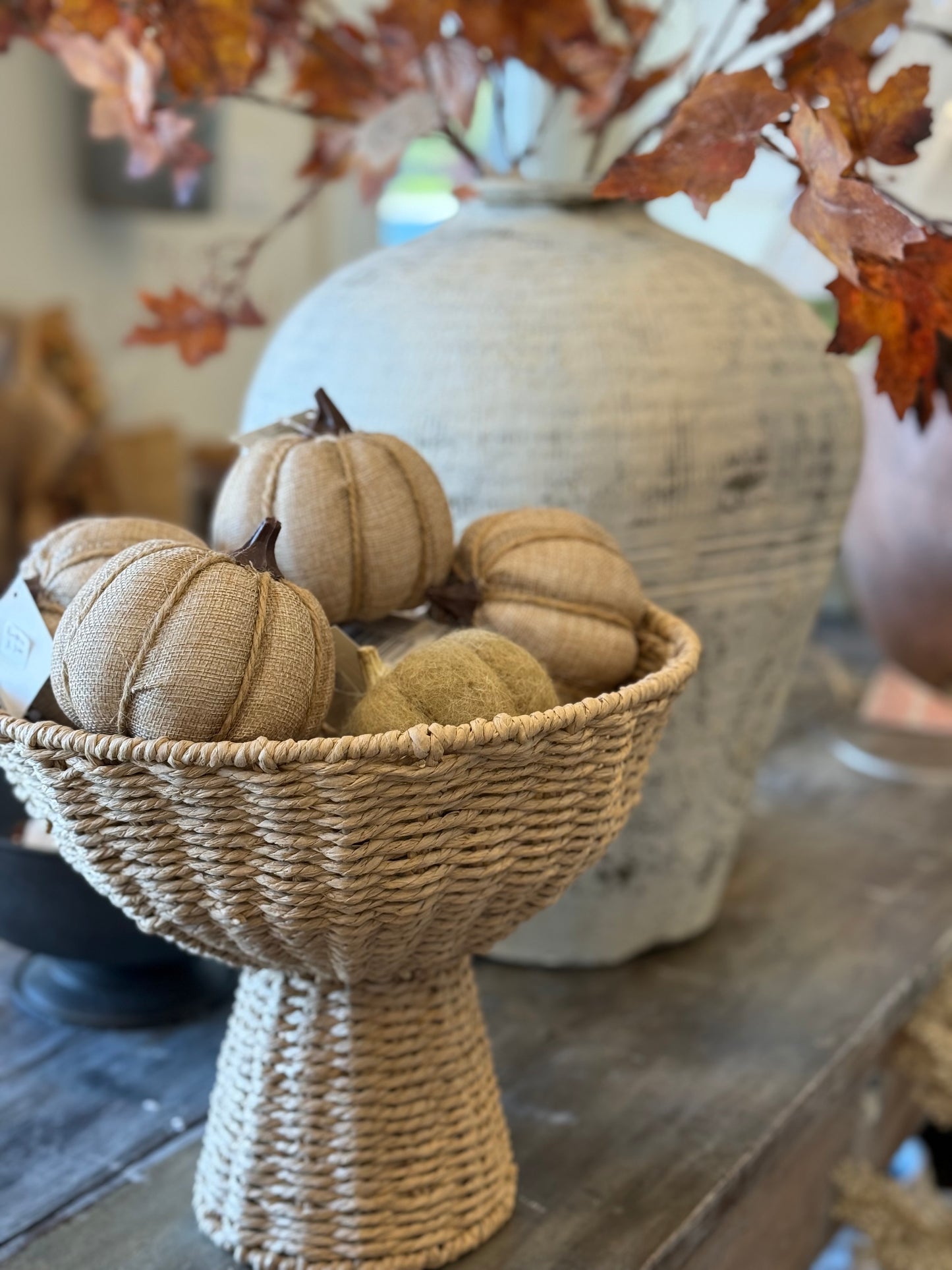 Pumpkin jute
