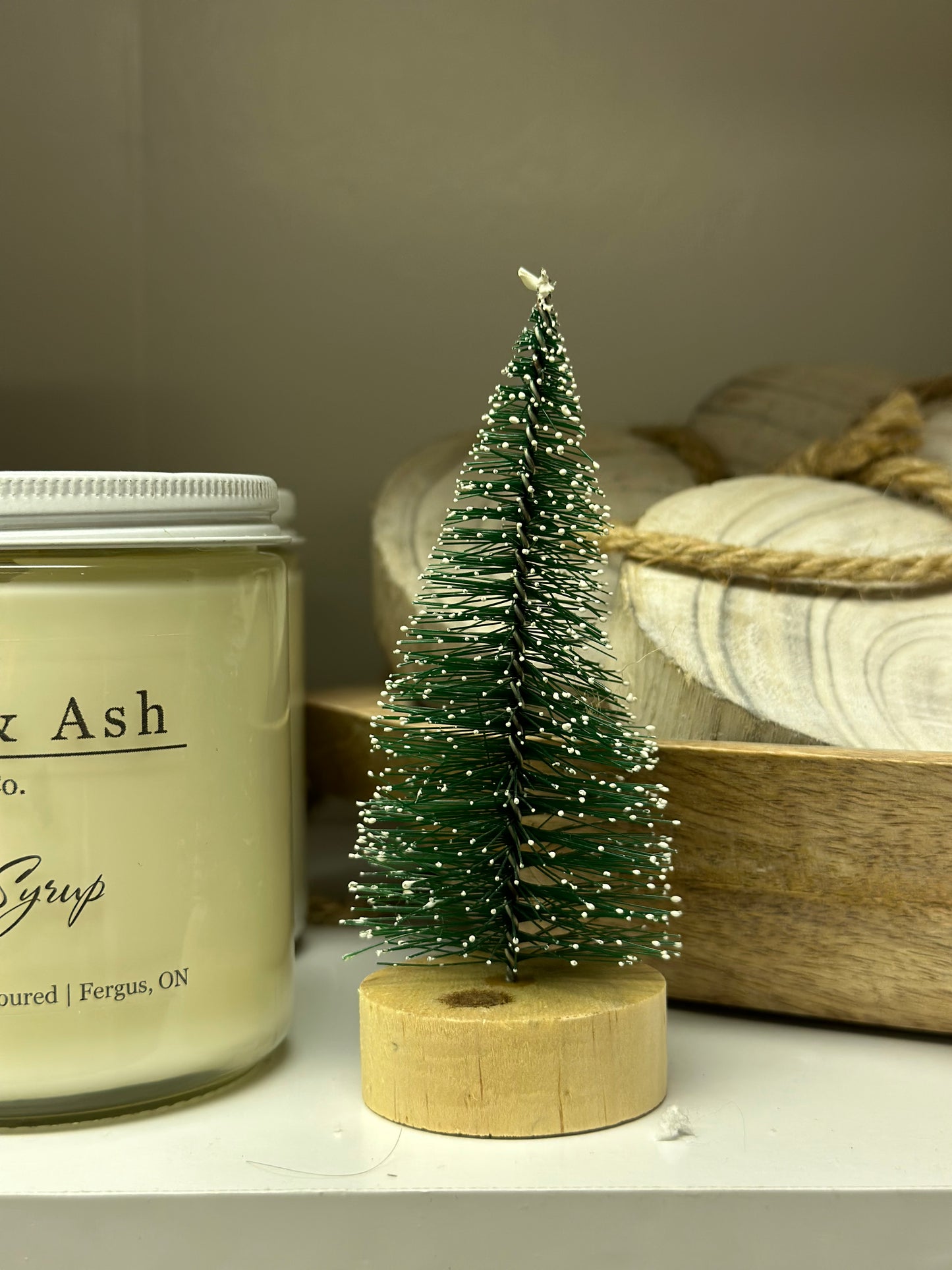 Mini Bristle Tree