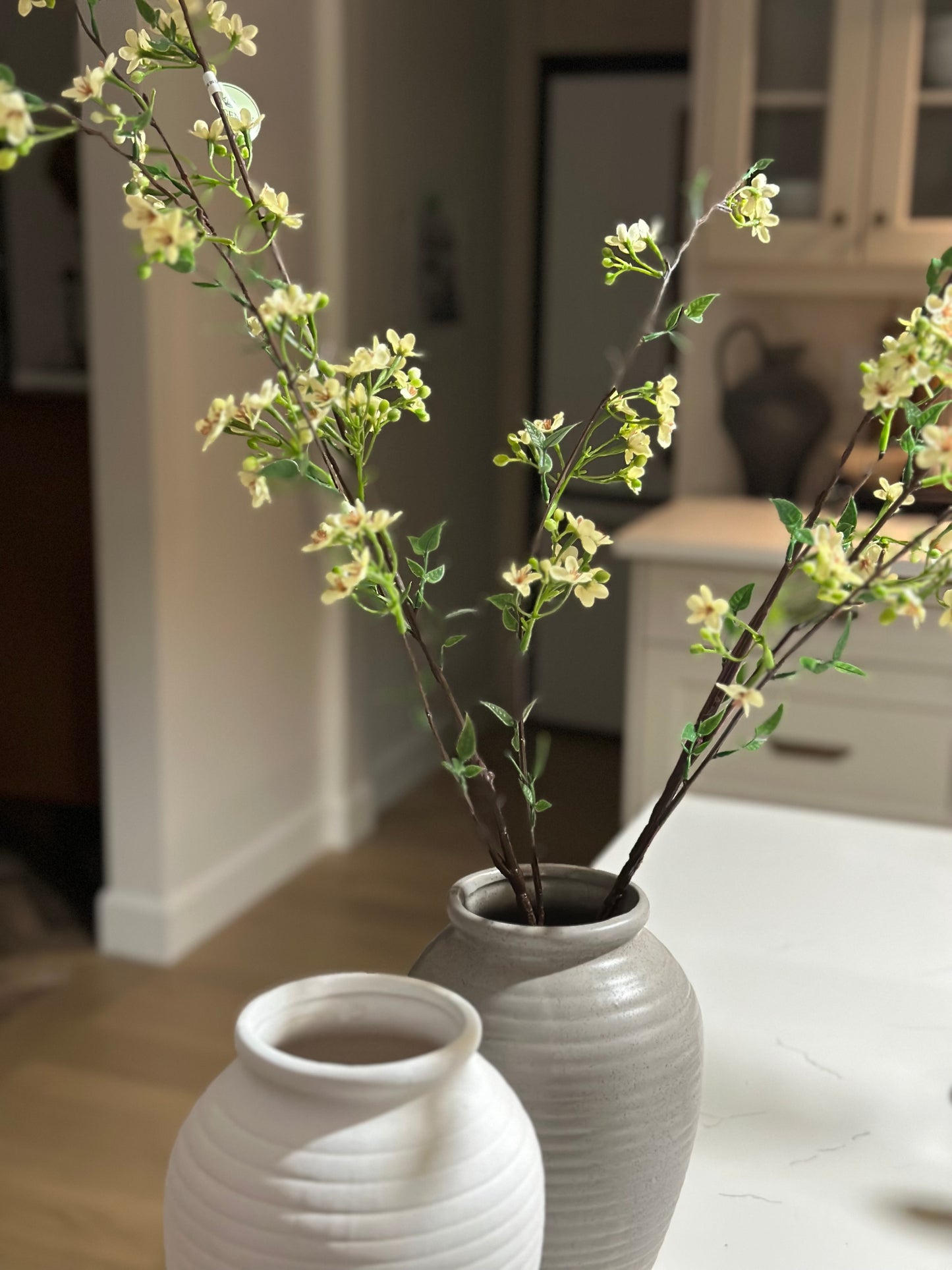 30” Wax flower stem