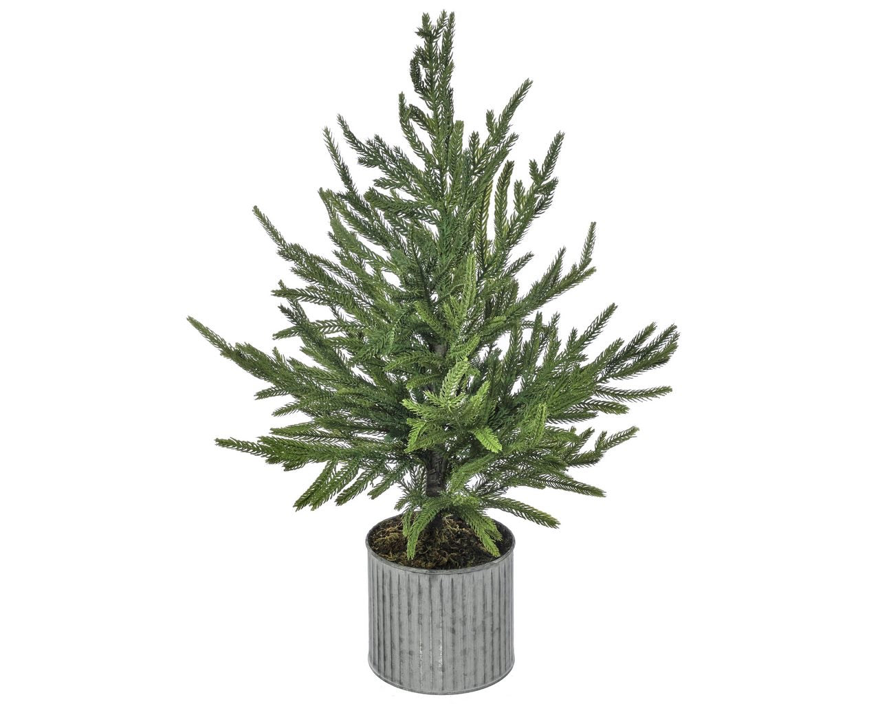 28″ POTTED REAL TOUCH NORFOLK PINE TREE – GREEN