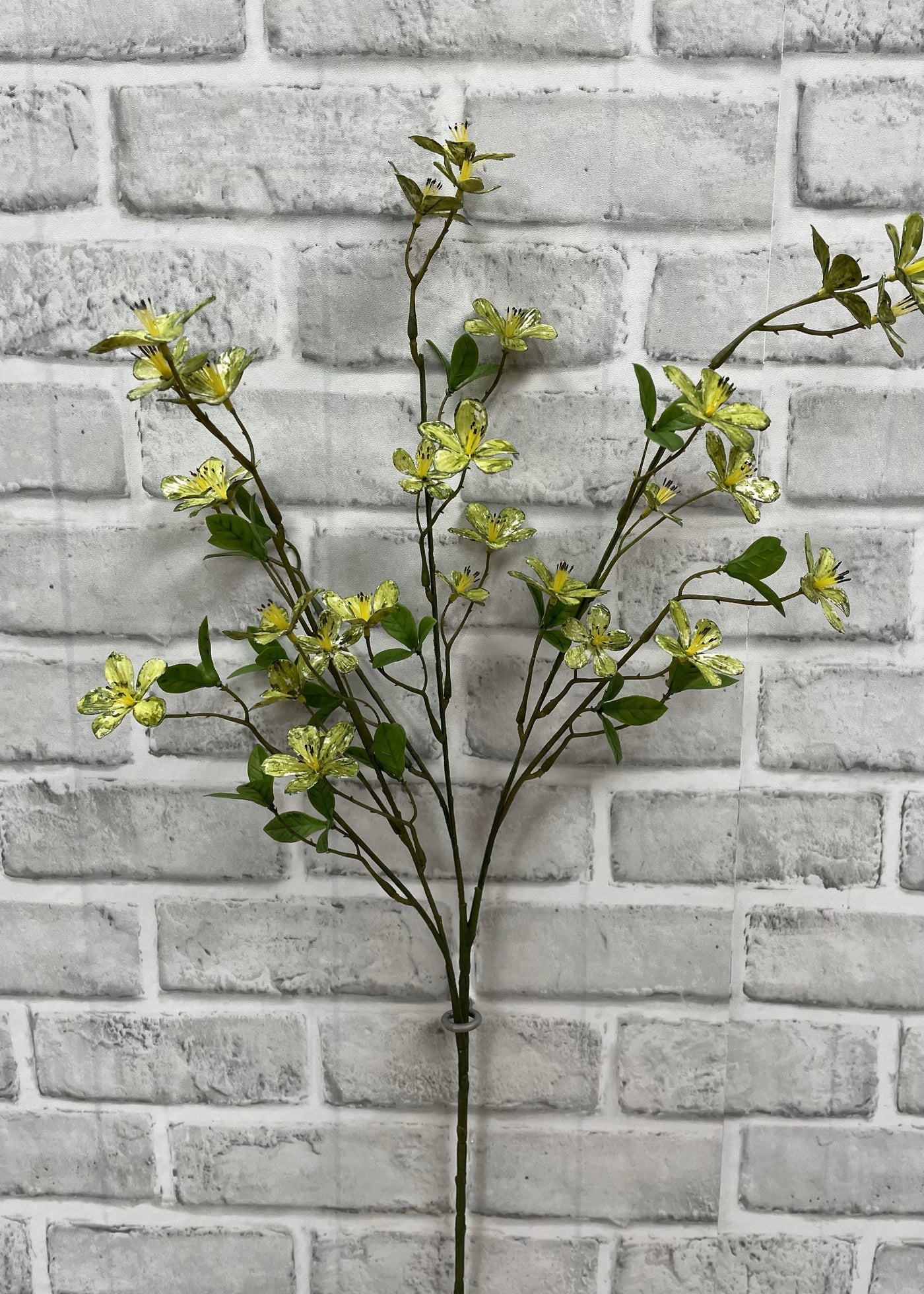 27" GREEN PLUM FLOWER STEM