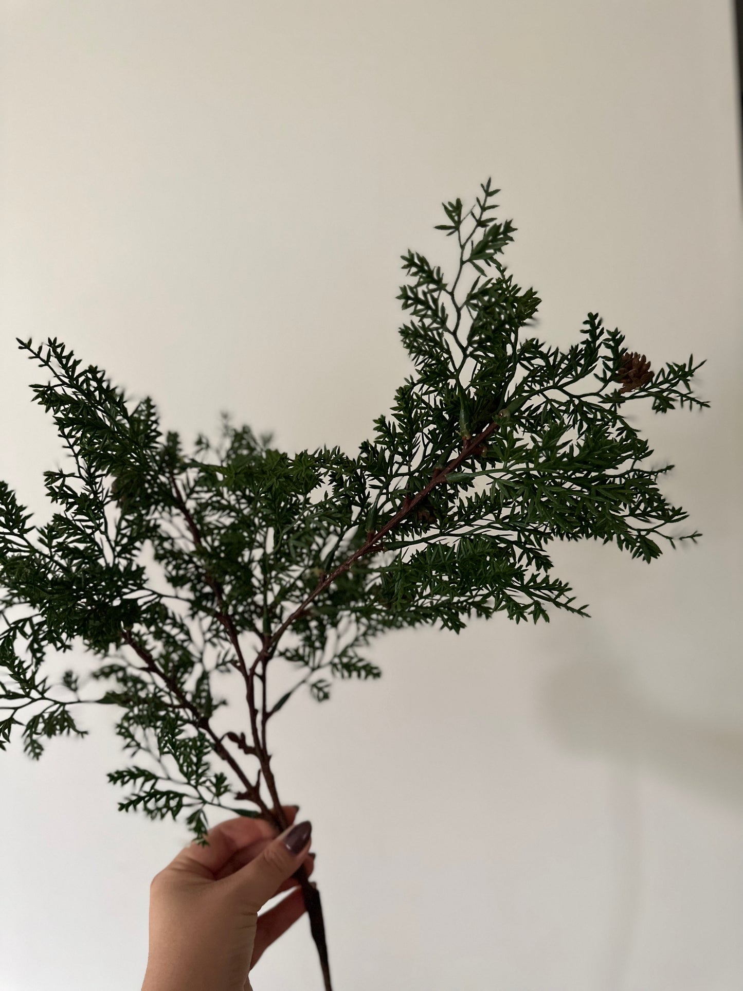 32” Hemlock Spray