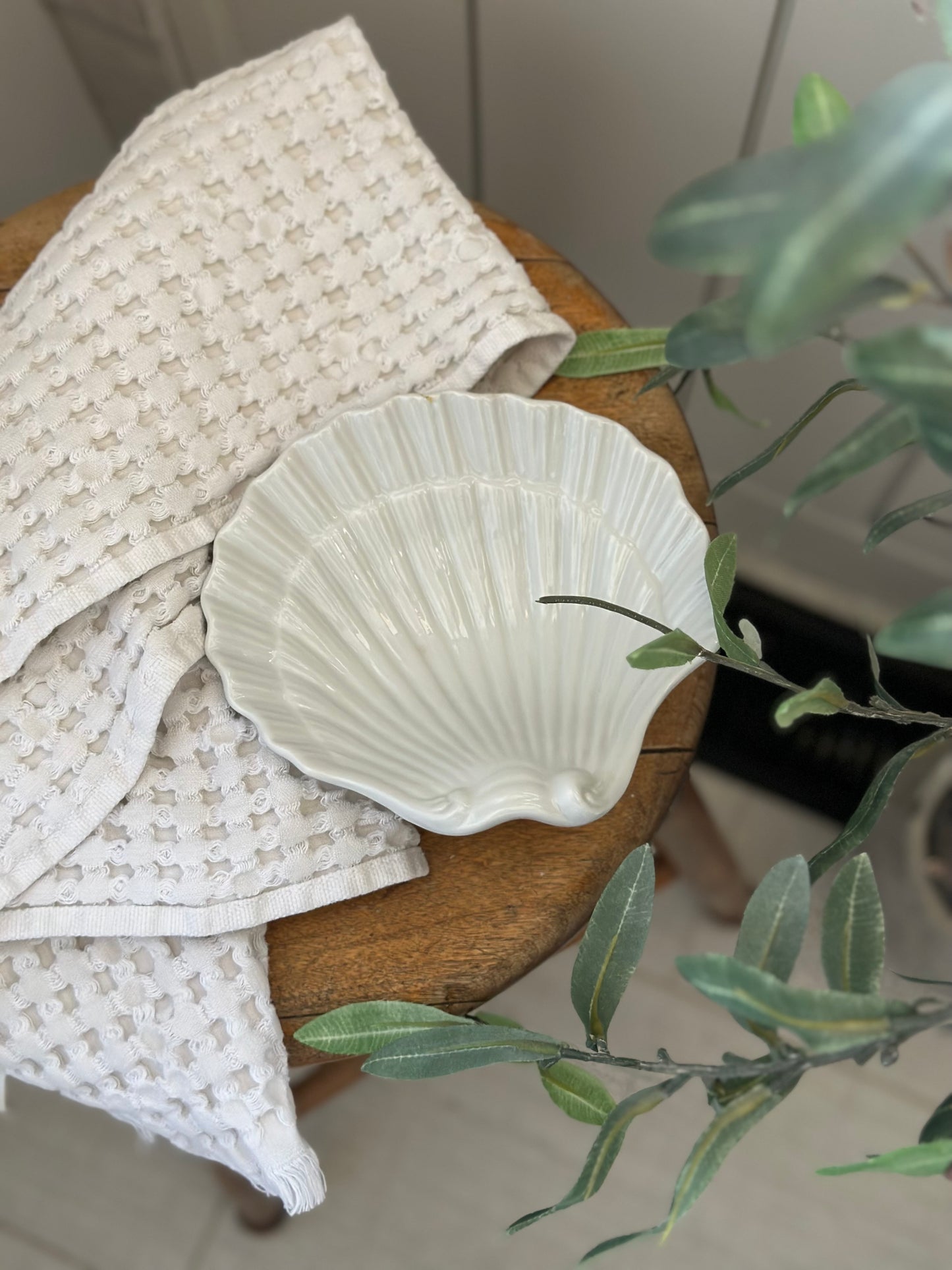Shell white dish