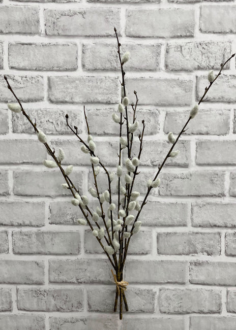21.5" PUSSY WILLOW BUNDLE WITH 3 STEMS & 9 BRANCHES