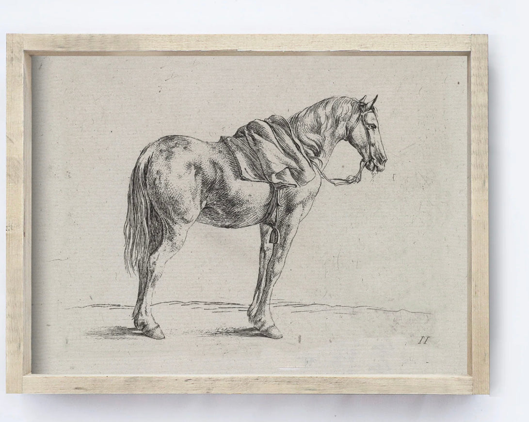 Vintage Print Framed | Horse Sketch