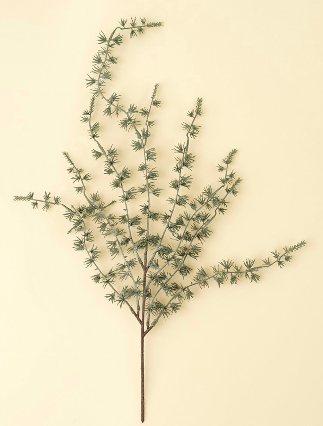 Frosted Juniper Stem