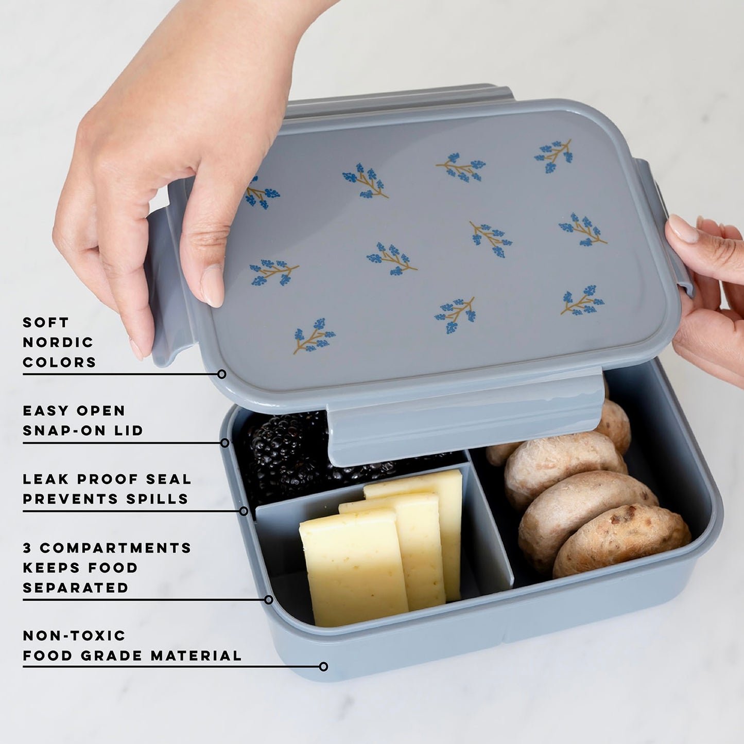 Recycled Plastic Bento Box-Blueberry Blue