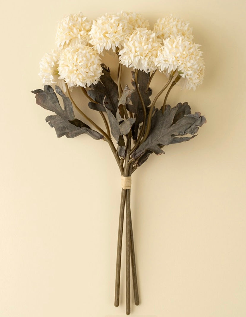 Mirandi Bloom Bundle-Cream