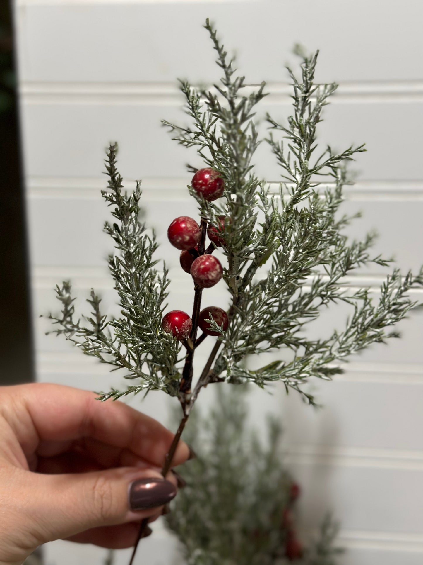 11" JUNIPER AND BERRIES PICK