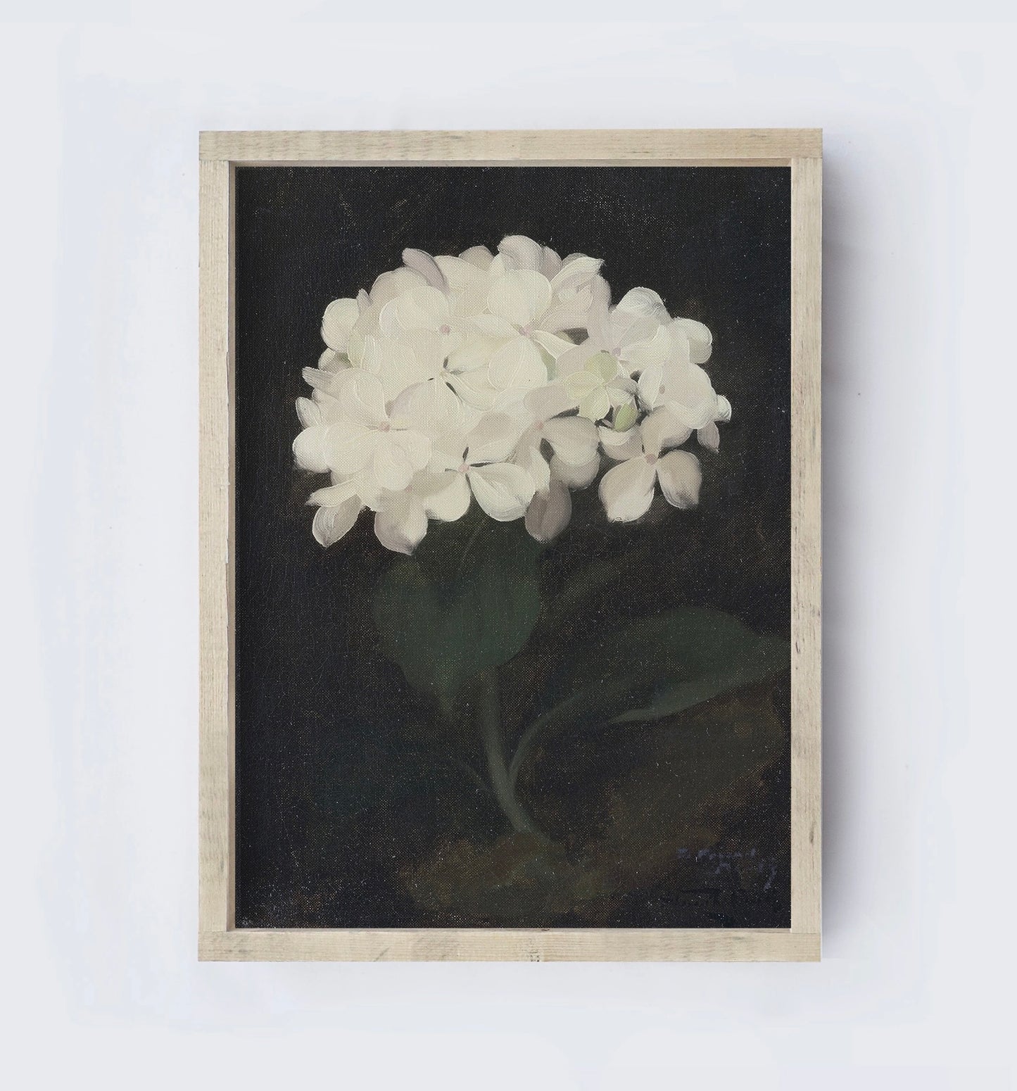 Framed Vintage Hydrangea-19”x13”