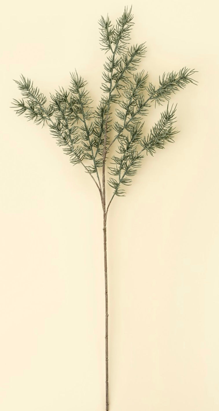 Cypress Twig
