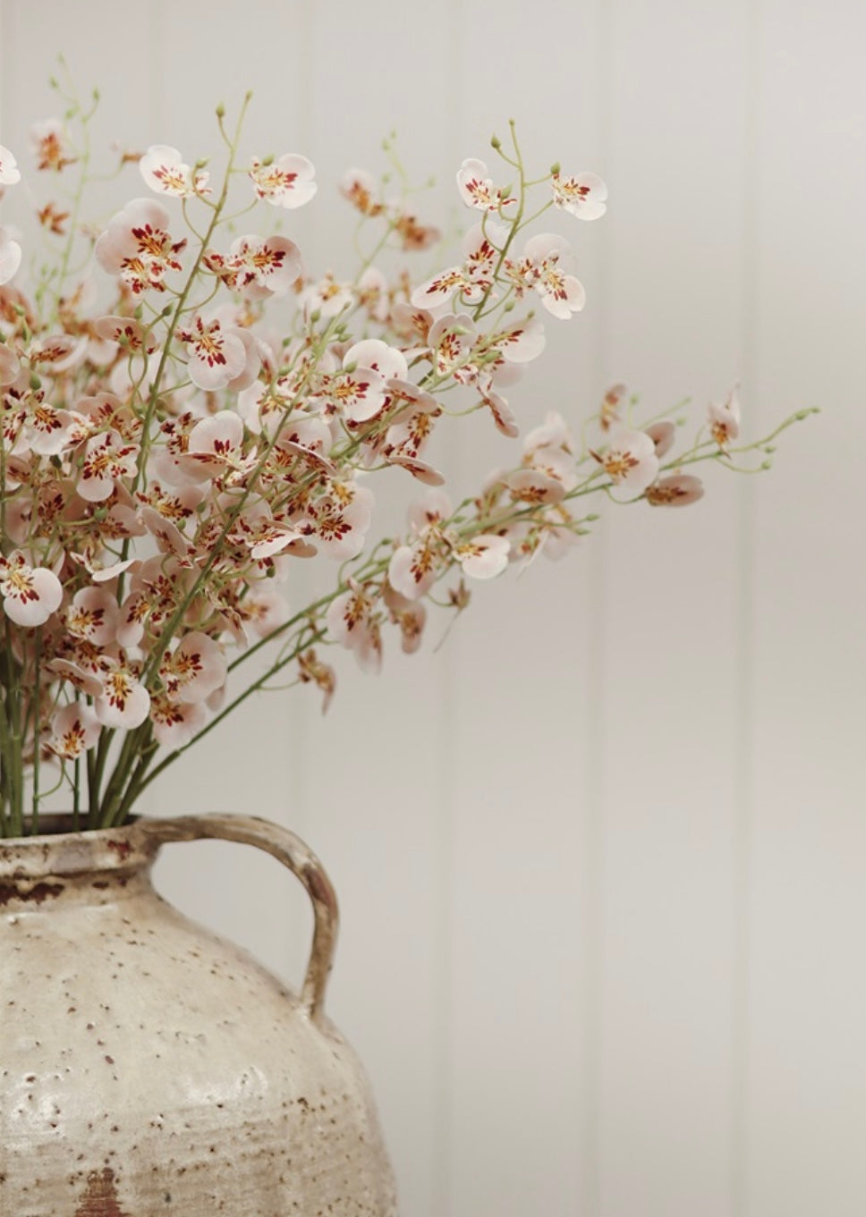 Wild Orchid Spray