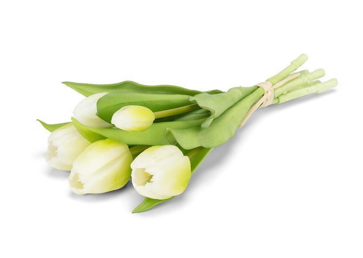 5 Stem Tulip Bunch-White
