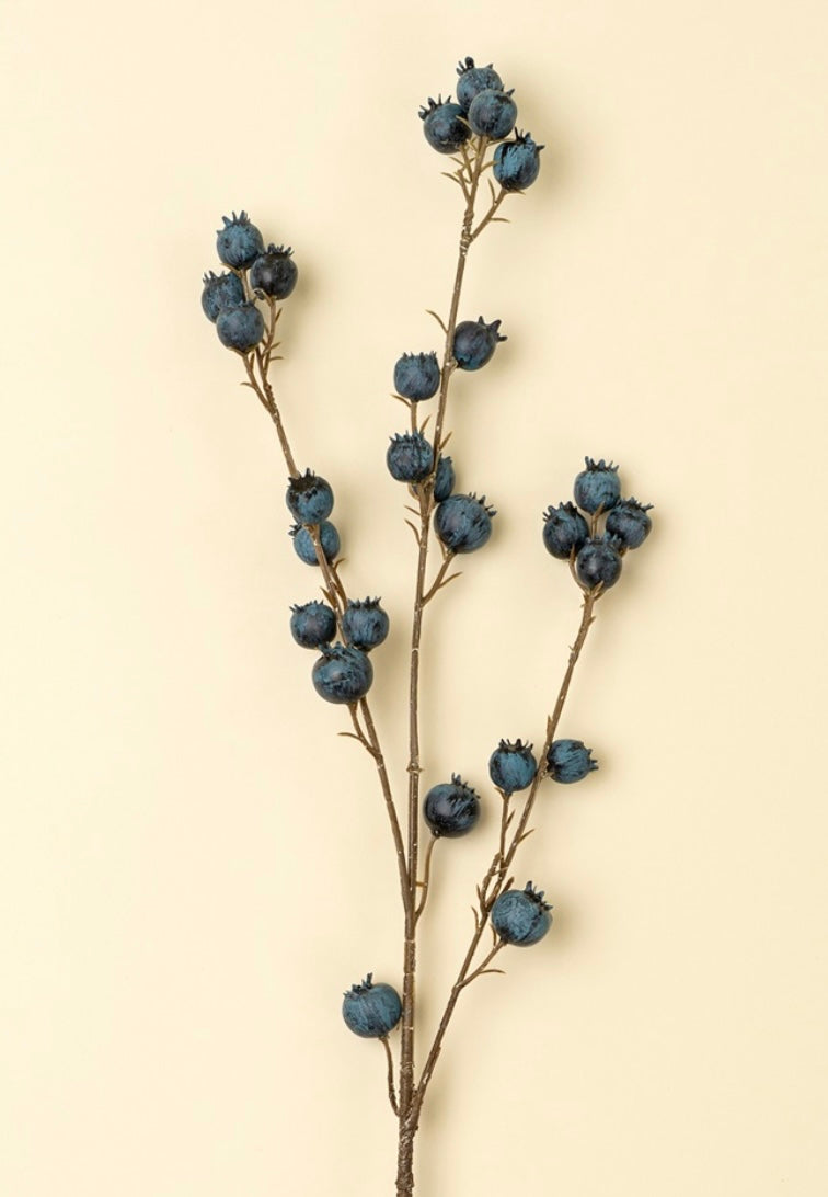 Blueberry Branch