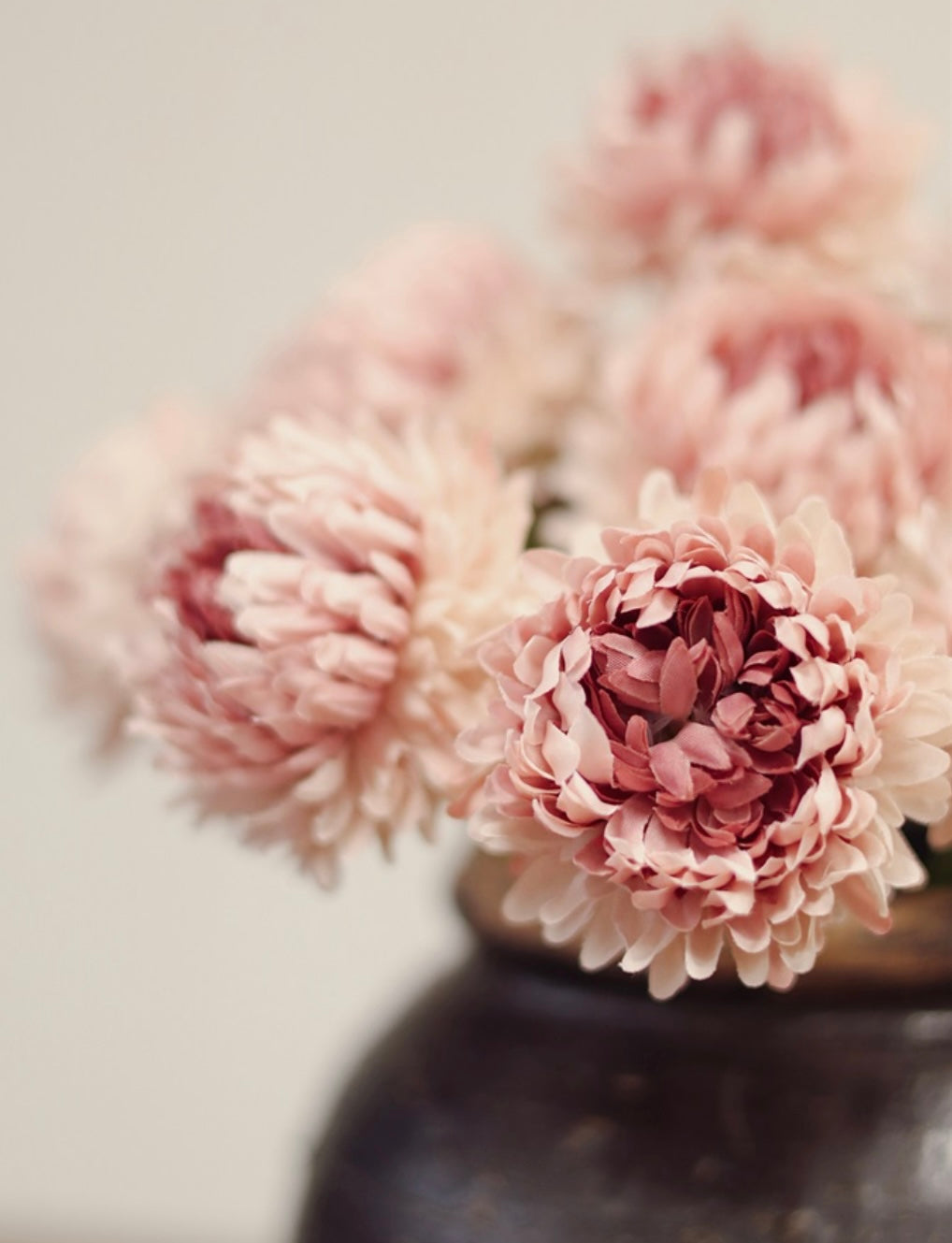 Chrysanthemum Bunch-Pink