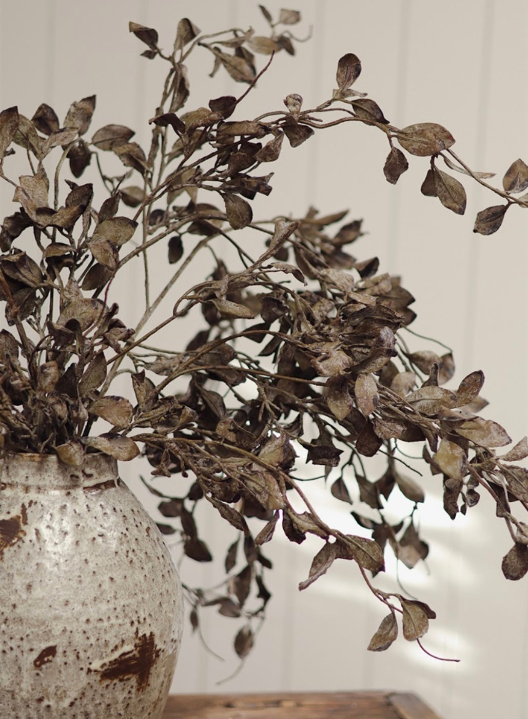 Smoke Eucalyptus Stem