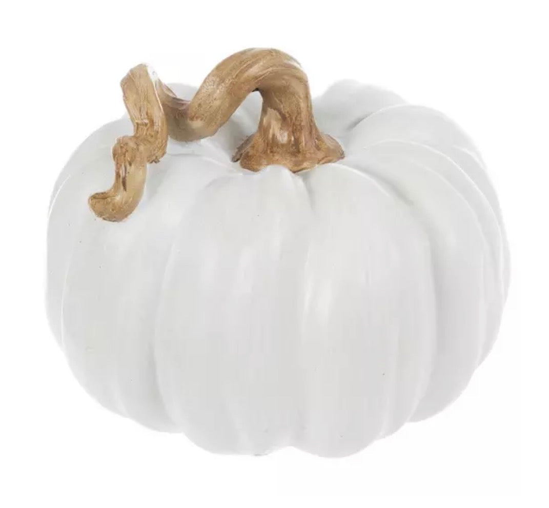 Medium White Pumpkin w/Curly Stem