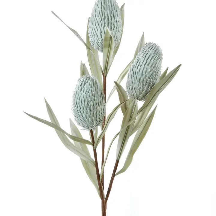 Banksia Floral Stem
