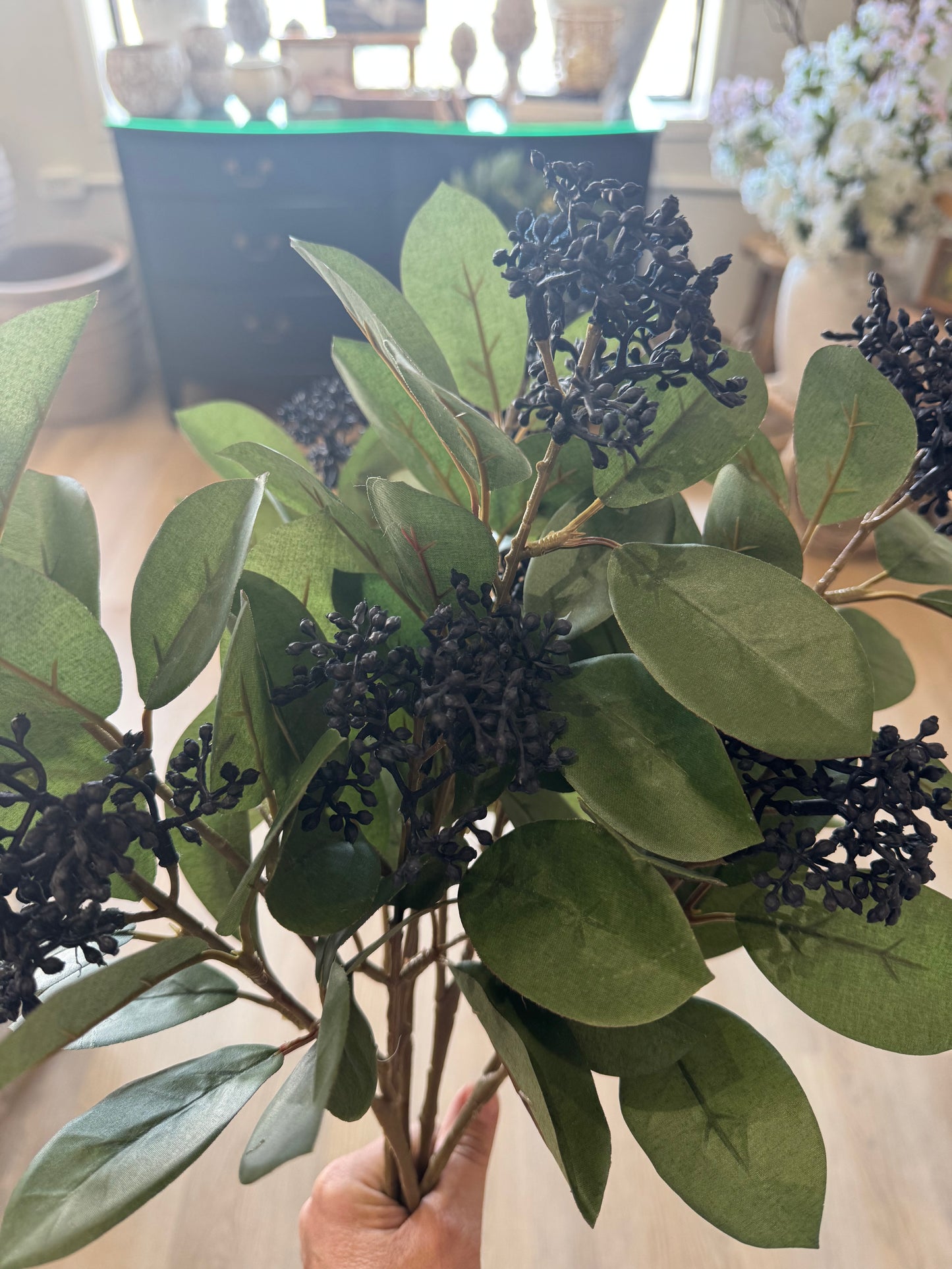 Black Skimmia Stem