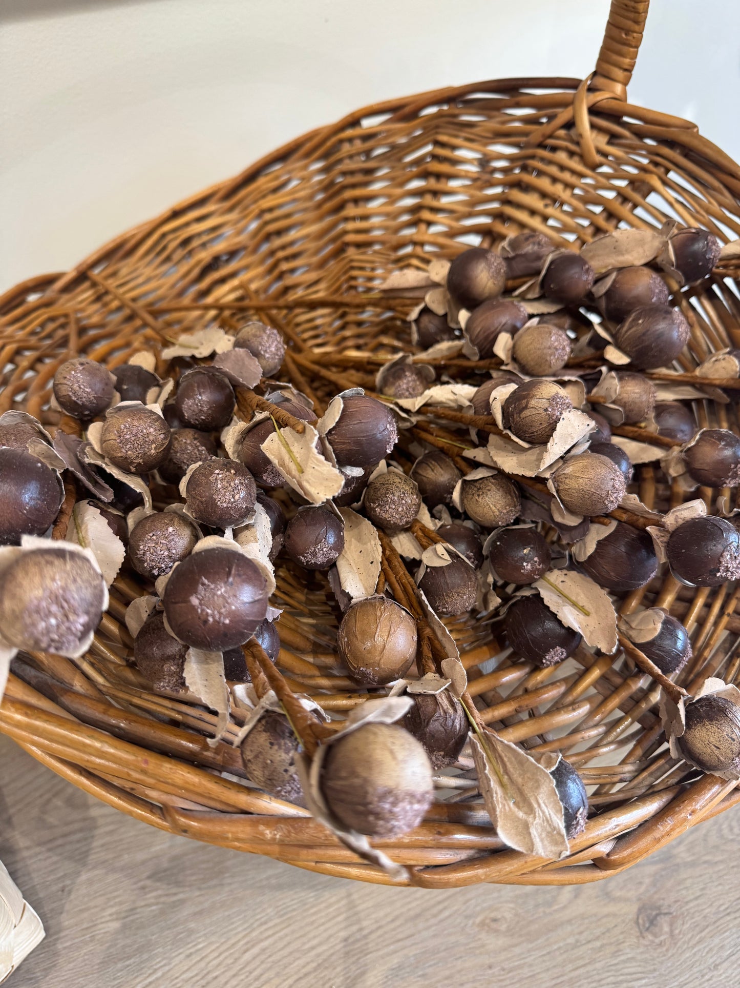 Acorn Stem