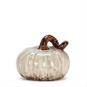 Small White Pumpkin