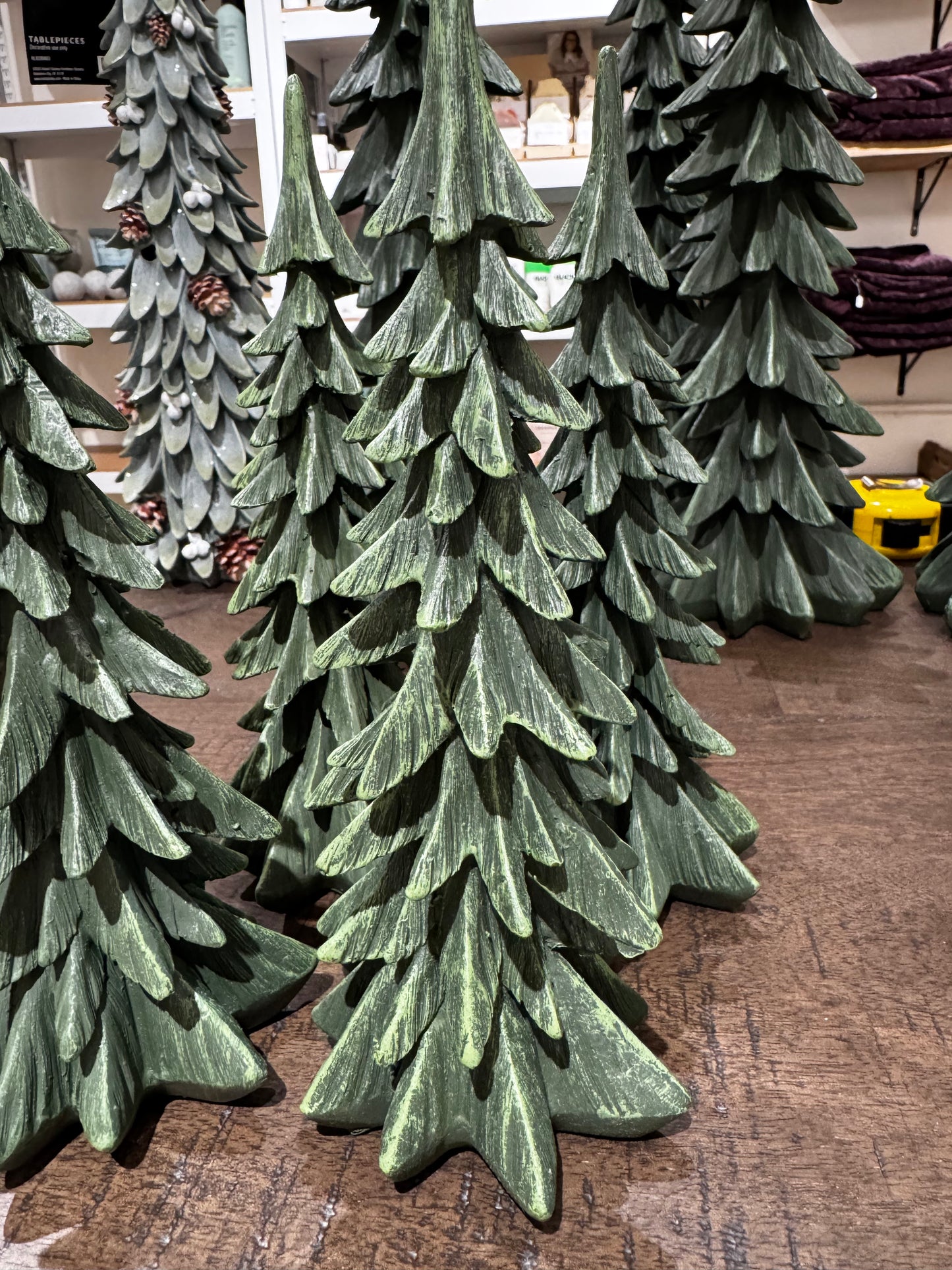 Evergreen Tree-Medium