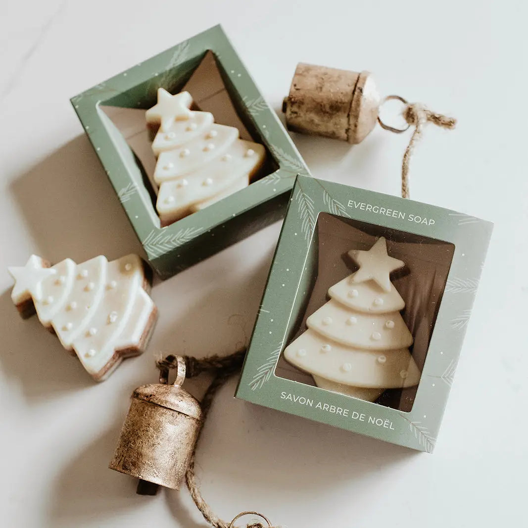 Boxed Evergreen Tree Soap