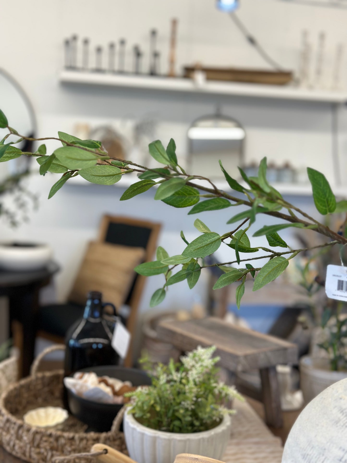 Privet Foliage Spray 39"