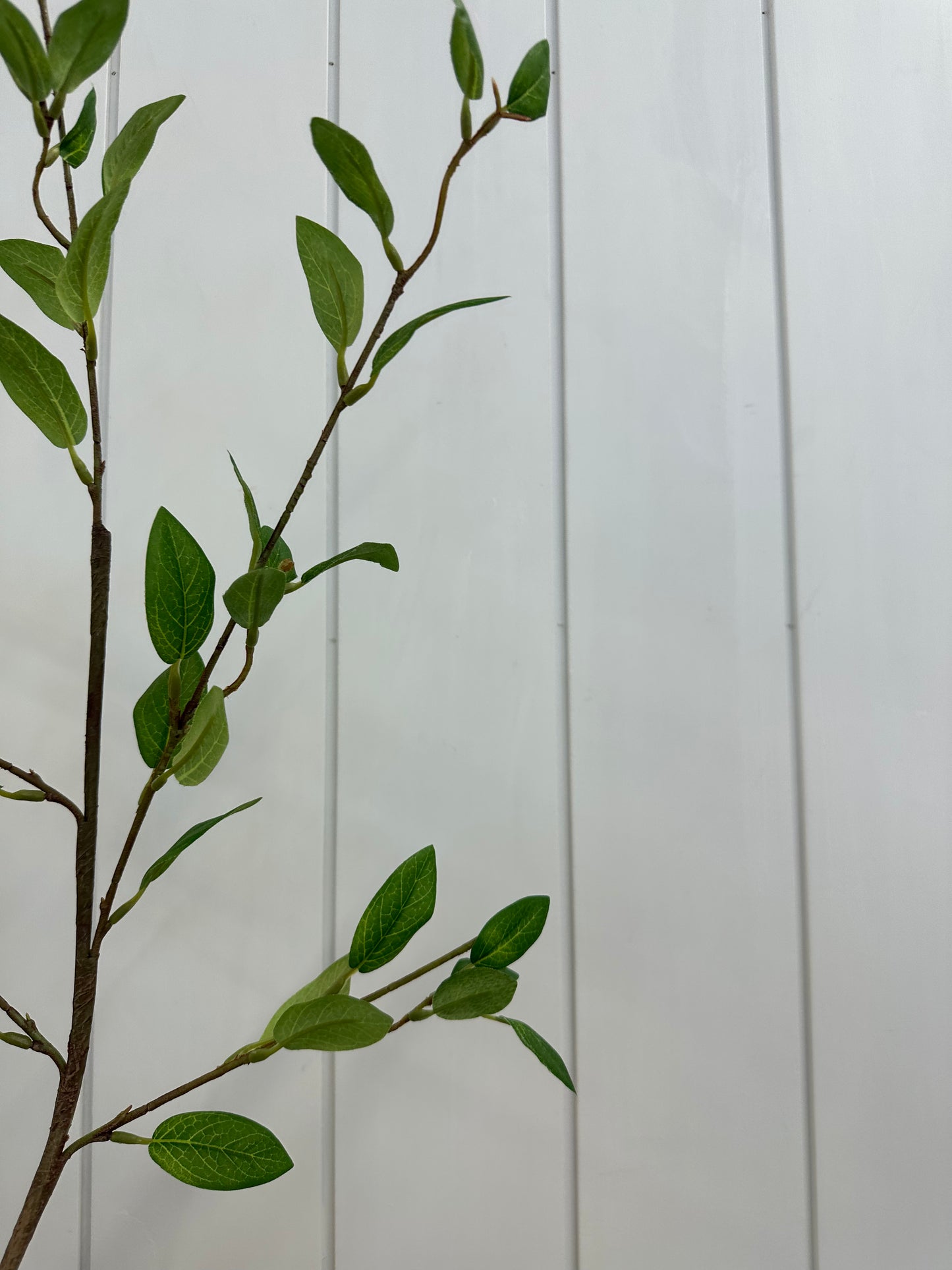 Privet Foliage Spray 39"