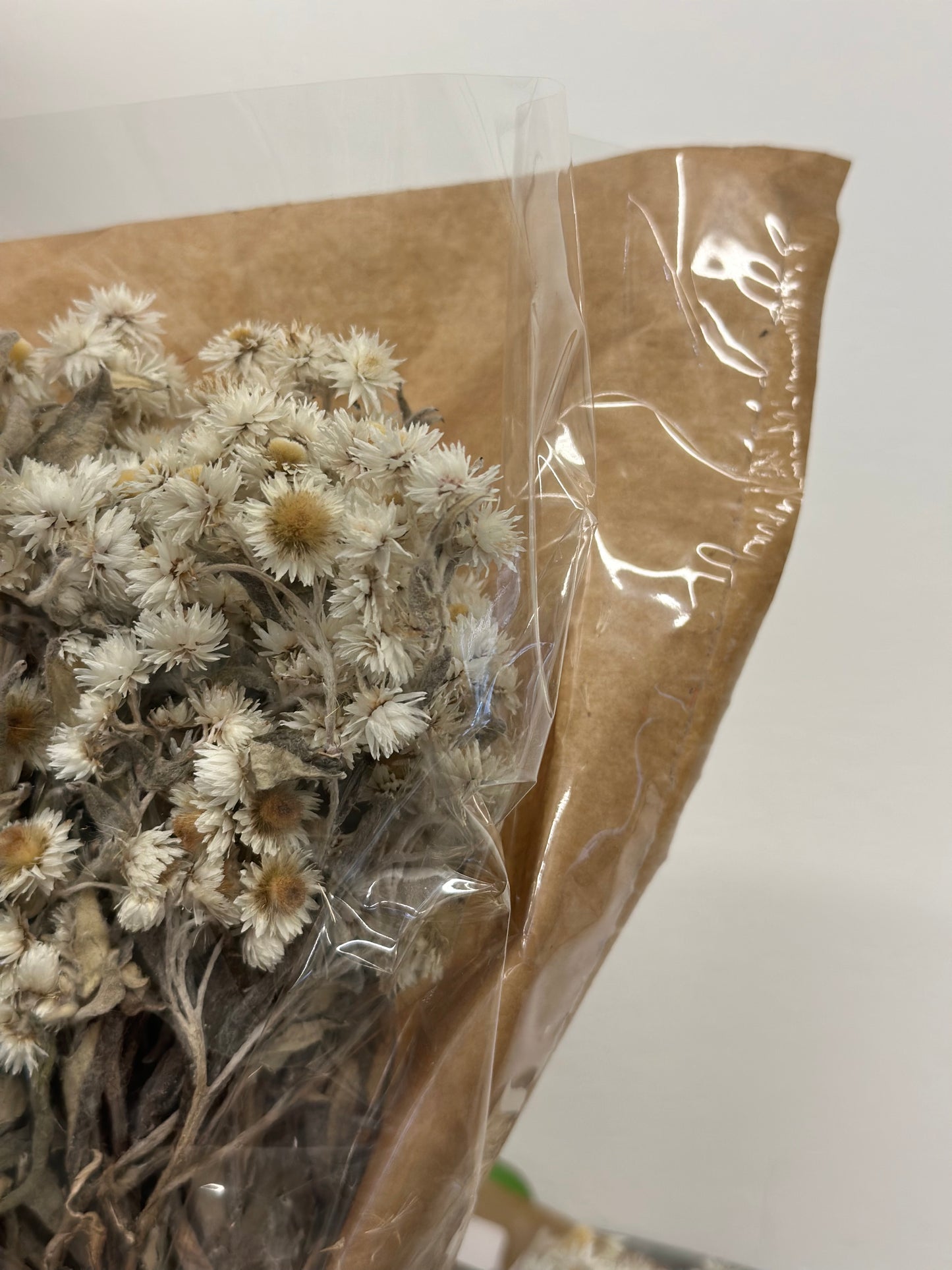 Anaphalis White (preserved)