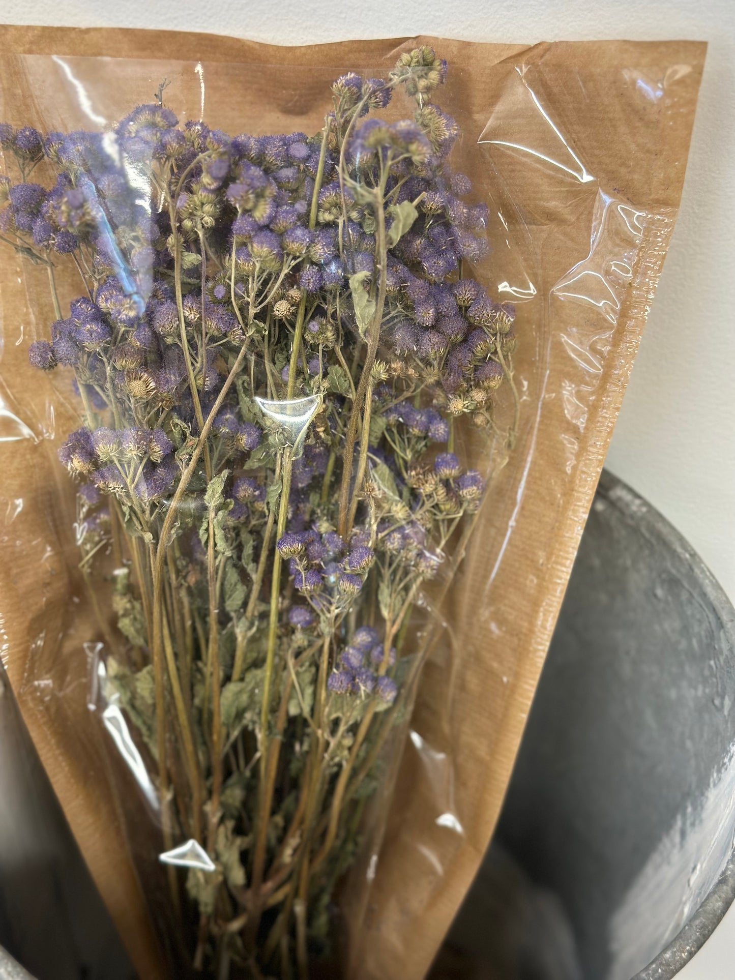 Ageratum Purple (Preserved)