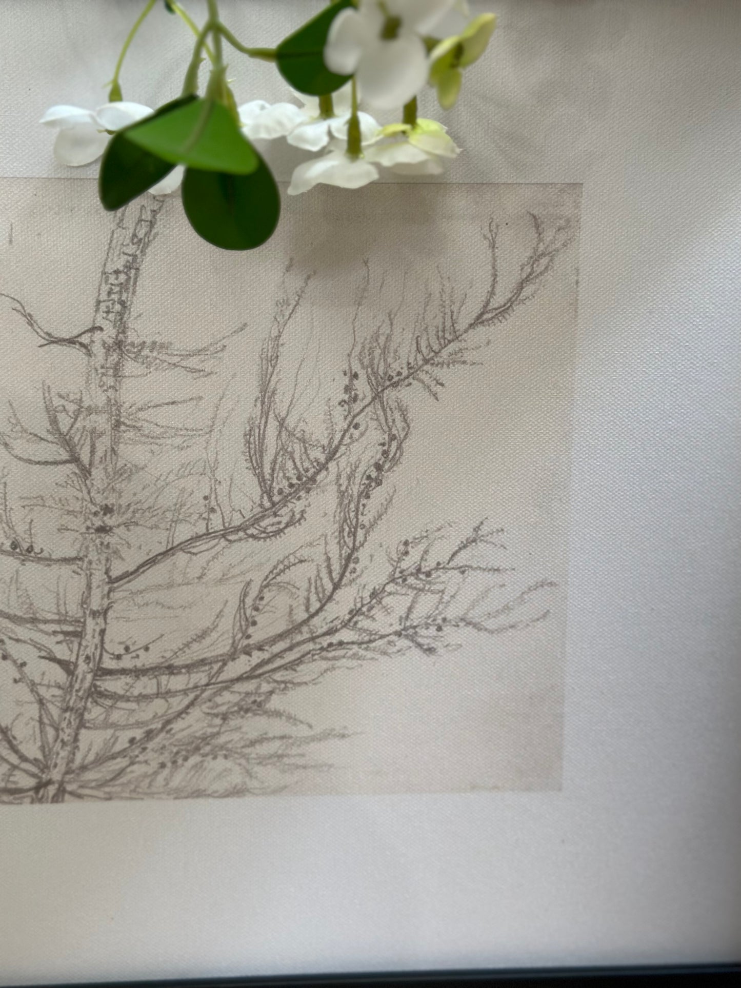 FRMD WL ART TREE SKETCH 11.5x15.5