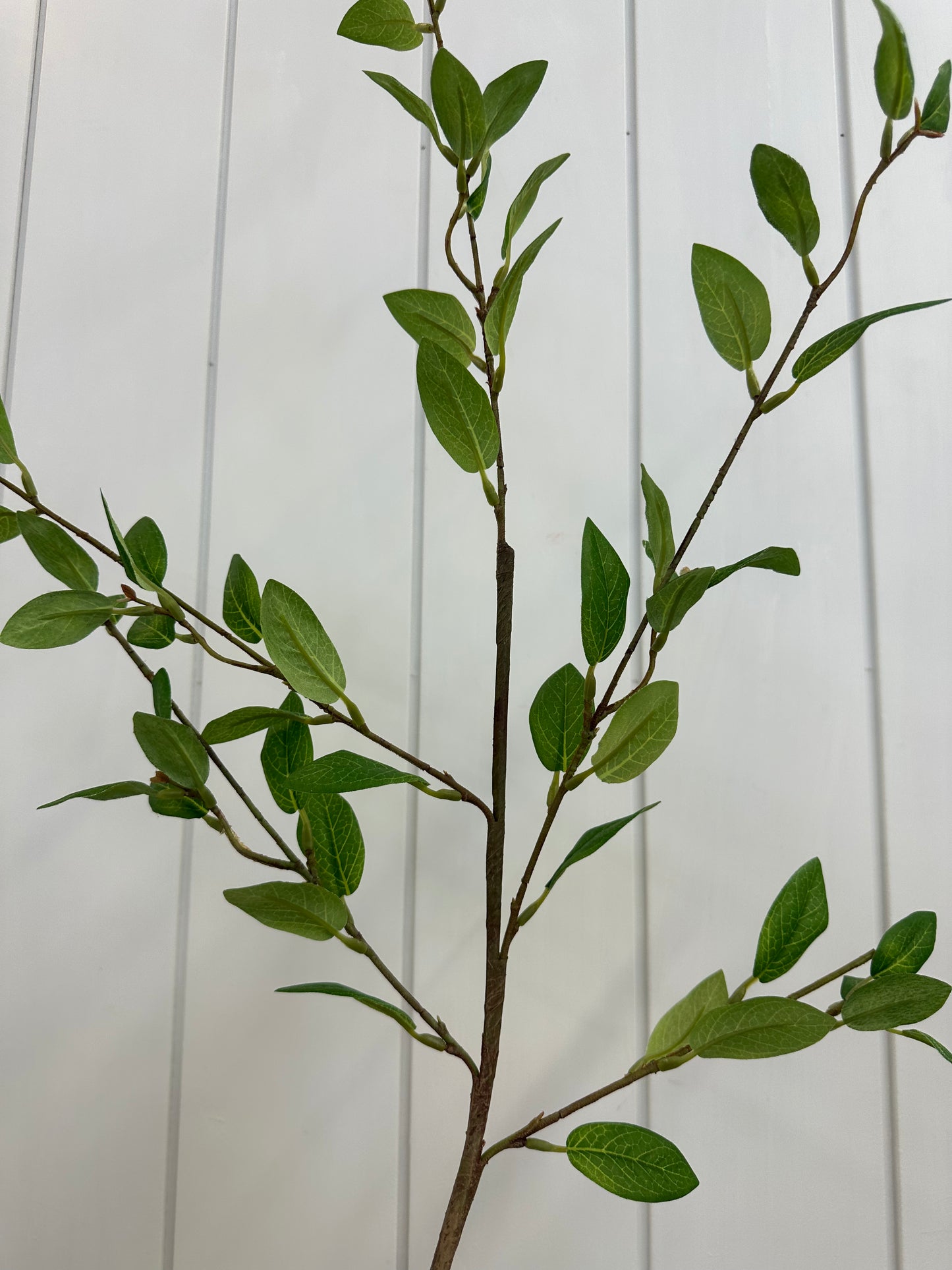 Privet Foliage Spray 39"