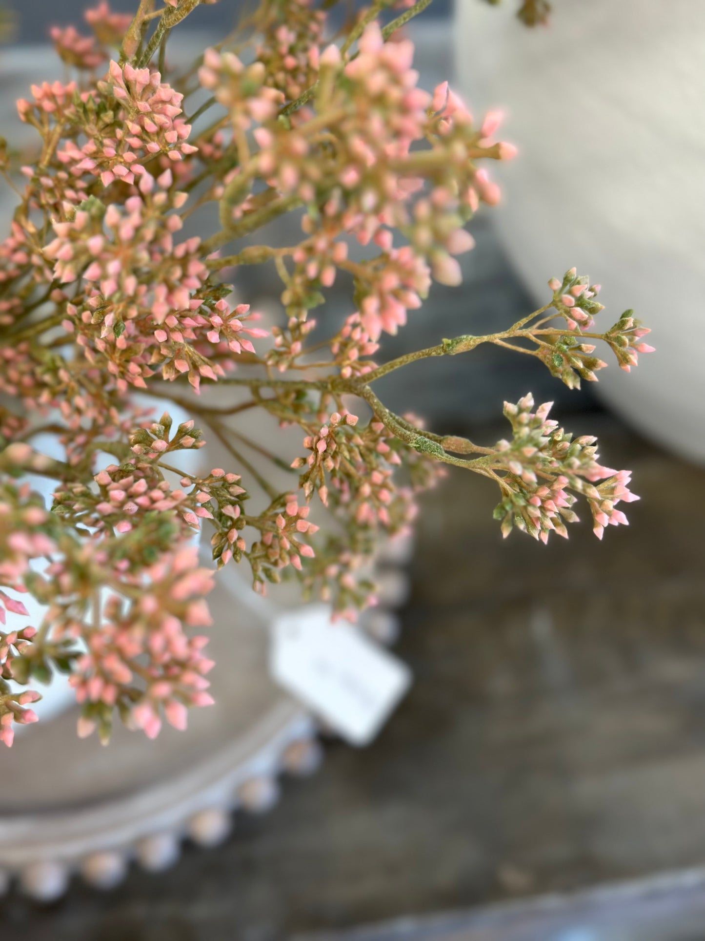 17” Pink Seeded Eucalyptus