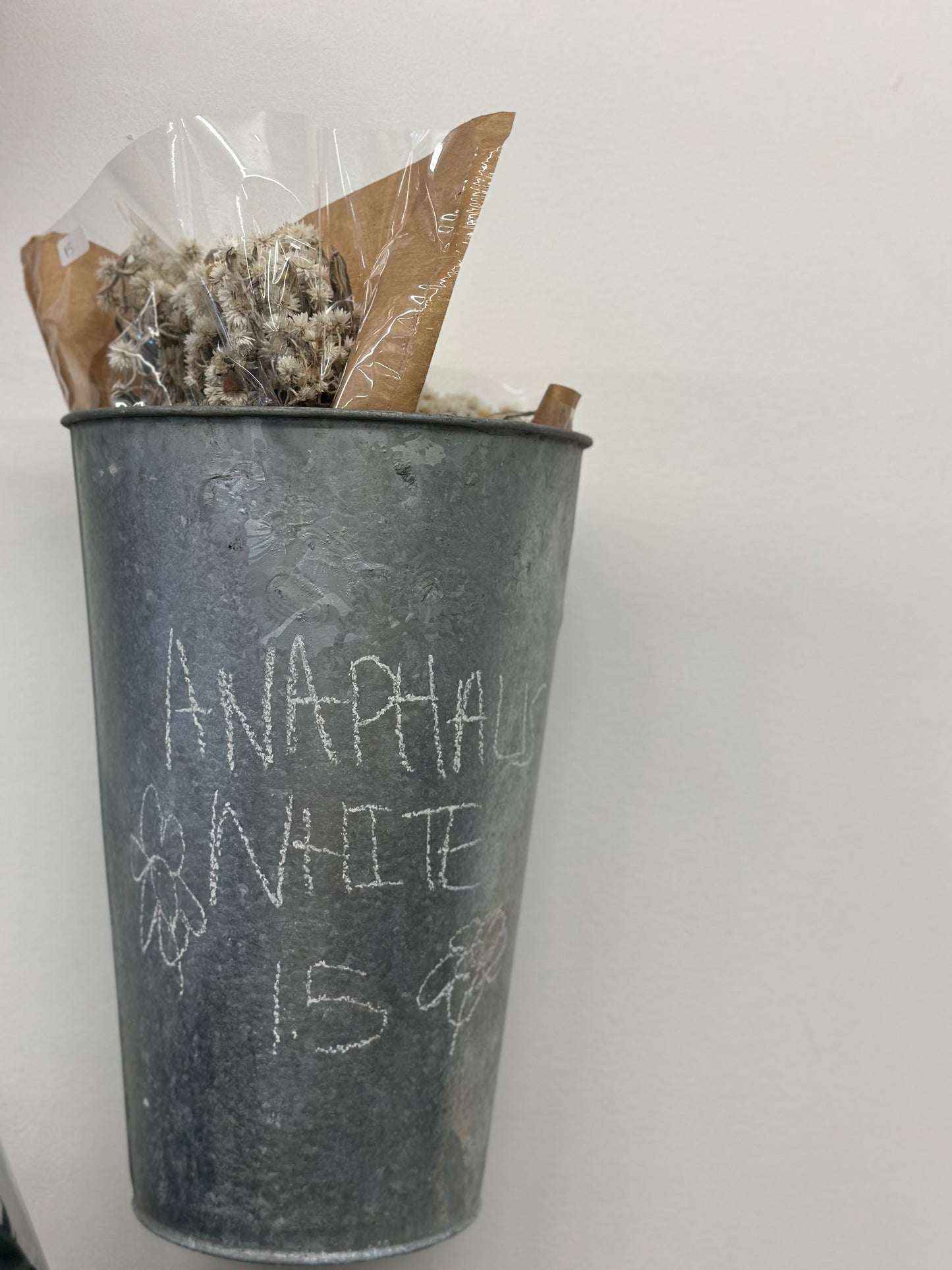 Anaphalis White (preserved)