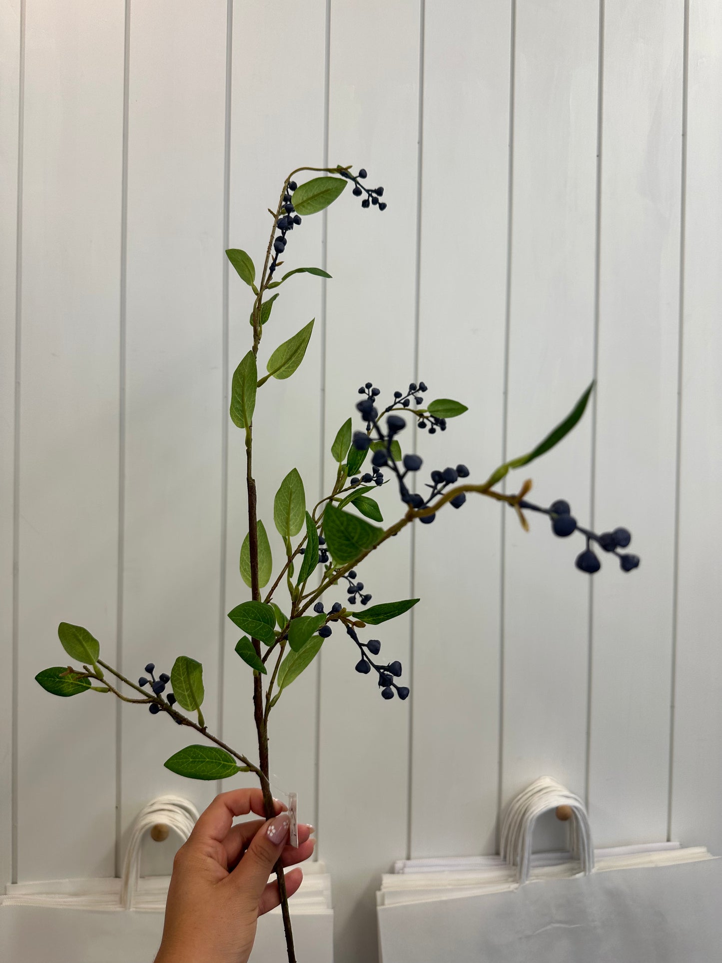 Ligustrum Spray 40"