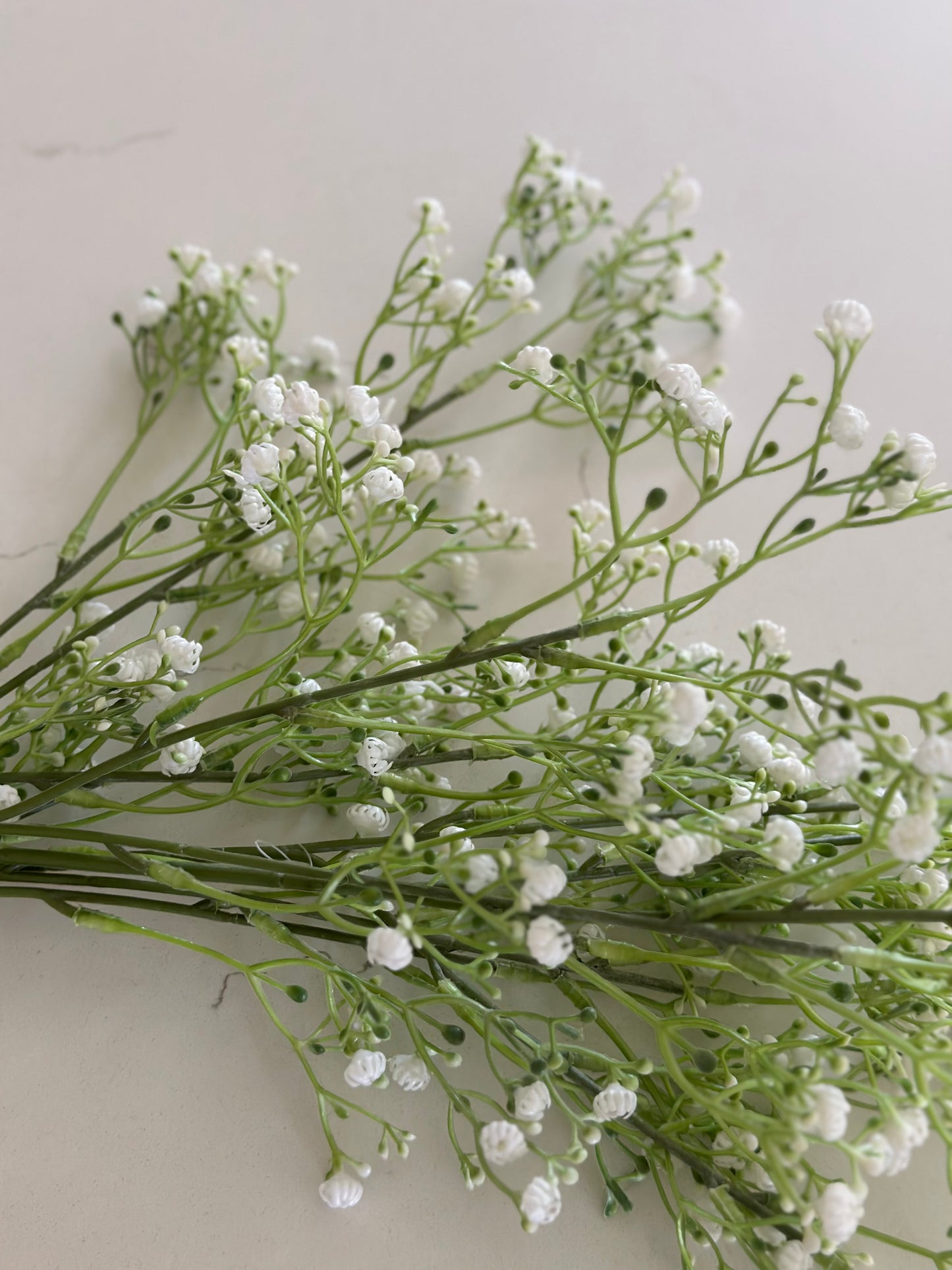 Bunch of Babies Breath Stems