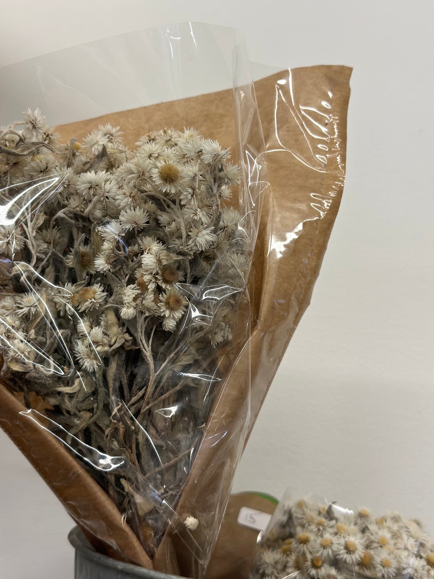 Anaphalis White (preserved)
