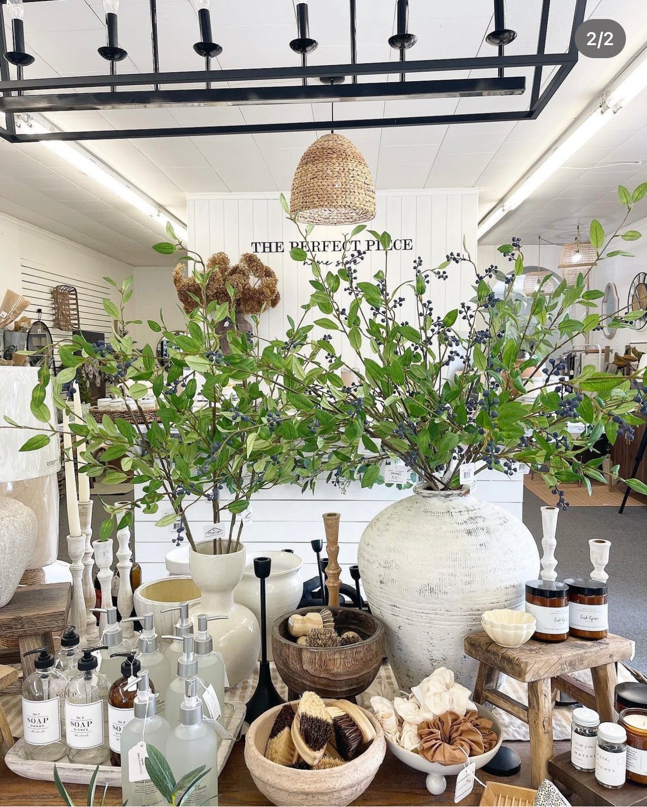 Ligustrum Spray 40"