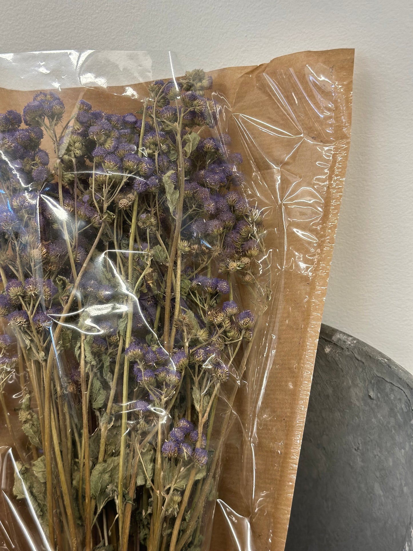 Ageratum Purple (Preserved)