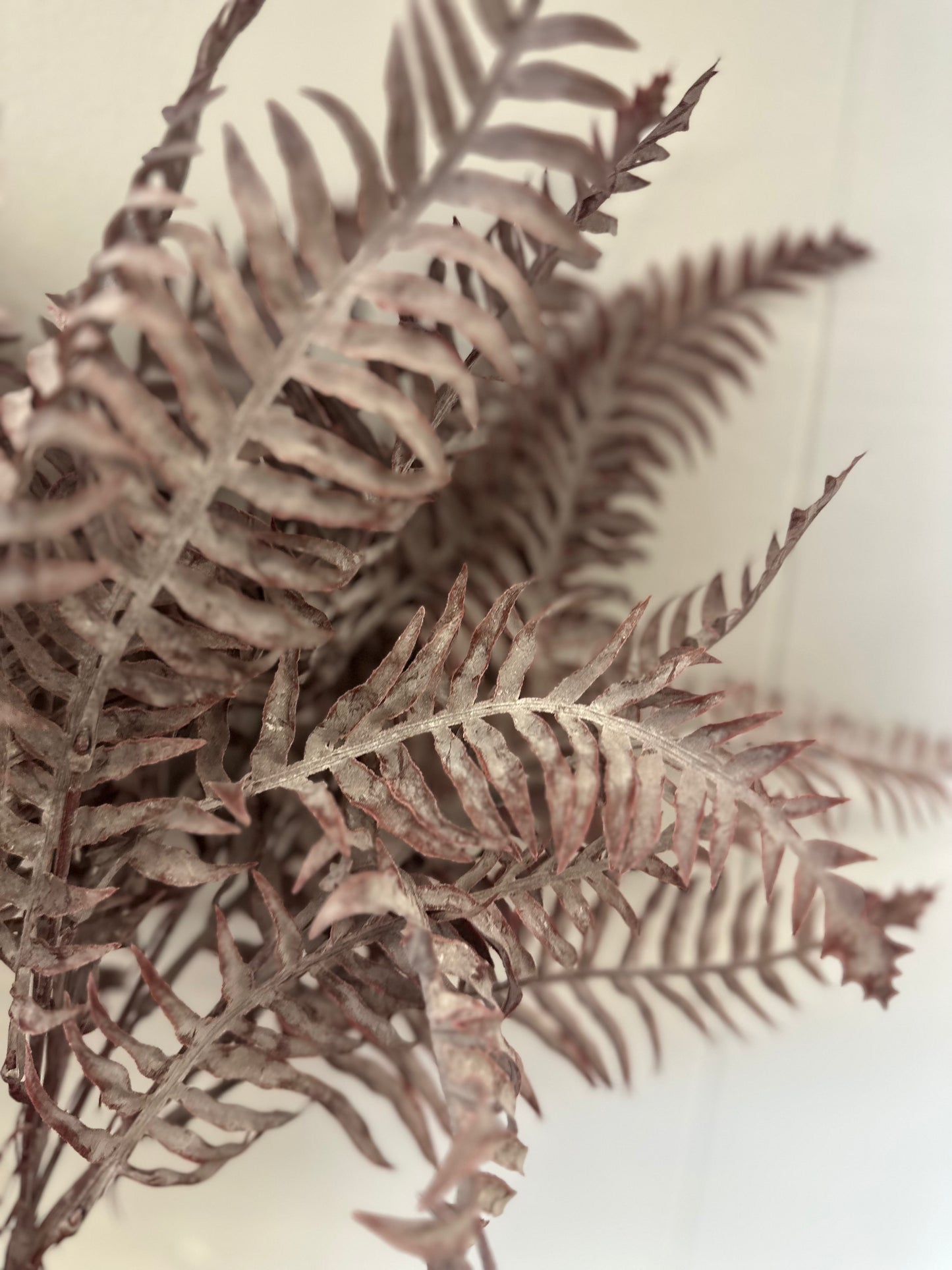Dusty fern burgundy
