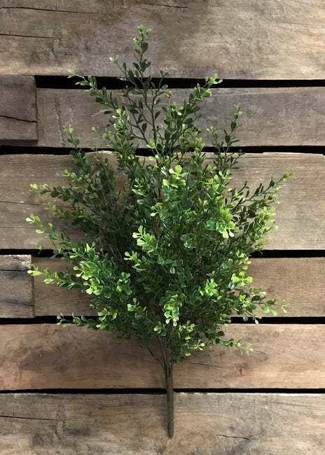 22" BOXWOOD BUSH