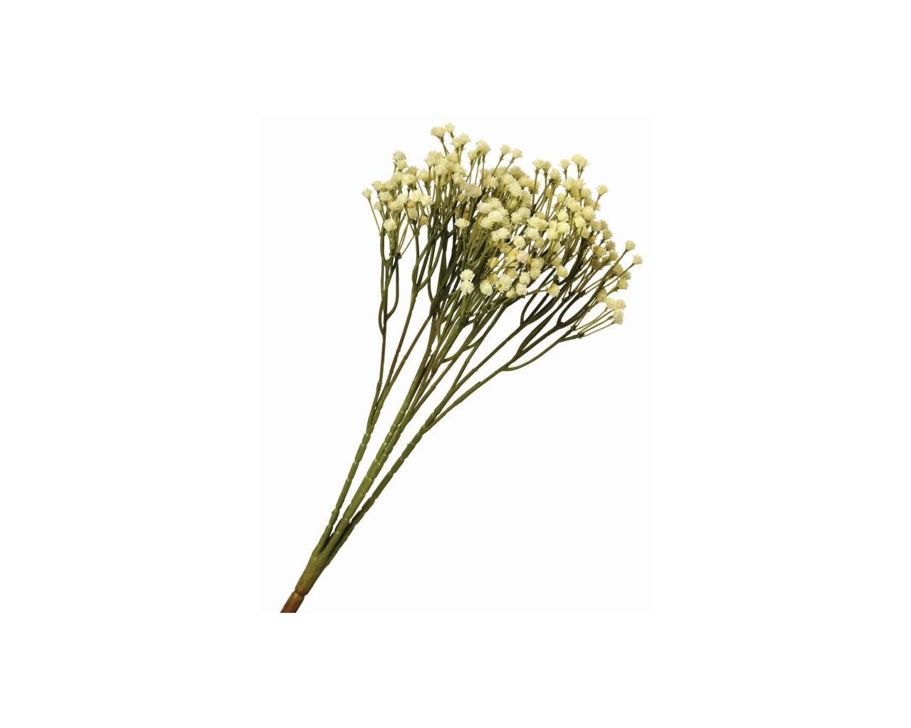 15” Gypsophila Bush Cream (Babies Breath)