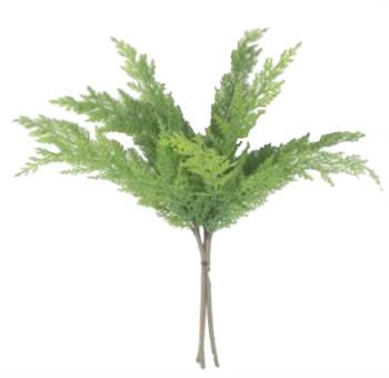 19" PE Norfolk Pine Bundle