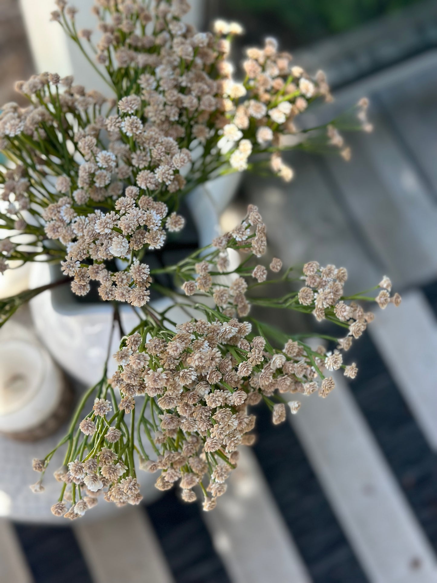 UV Protected Gypsophila 15” Bush