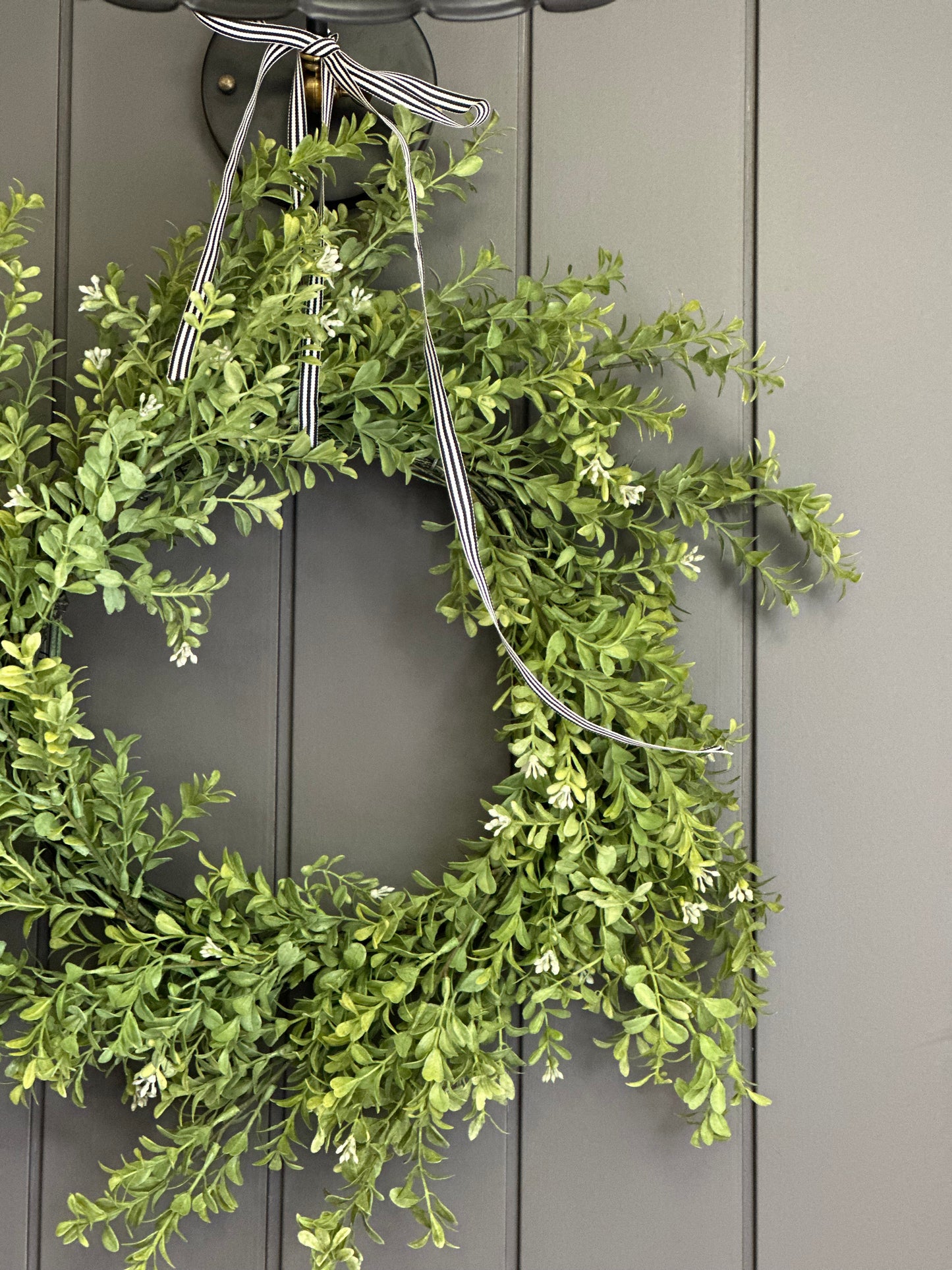 “Westwood” COMMON BOXWOOD WREATH 24”